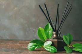 If a reed diffuser that is continually used going via a 10ml bottle it can last for about a week. Can You Refill Reed Diffusers And How To Refill Housefragrance