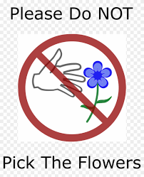 It is wrong to pick other people's flowers. Big Image Don T Pick The Flower Free Transparent Png Clipart Images Download