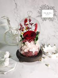 We did not find results for: Preserved Flower In Glass Dome Eternal Rose Everlasting Rose Hobbies Toys Stationery Craft Flowers Bouquets On Carousell