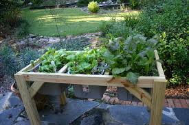 Seeing Several Self Watering Gardens On Youtube I Decided To Make My Own And It Has Been A Rou Self Watering Planter Watering Raised Garden Beds Raised Garden