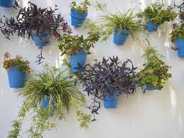 In this instructable i'll try to show you how to build a planting tower out of 1 meter of pvc pipe. Vertical Garden Ideas Saga