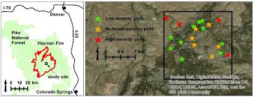 Overstory Structure and Surface Cover Dynamics in the Decade Following the  Hayman Fire, Colorado