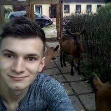 Hello Everyone. Iam thinking in buying a civic fk8, however i heard the  gearbox has some grinding/crunch. Any information that I should be aware  before buying it ?