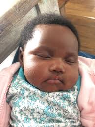 Ella & Louis growing up! 💓🥰😻😻 #mzuriabyssinians