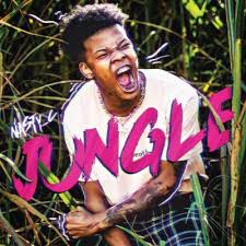Download Nasty C Jungle Mp3 Illuminaija