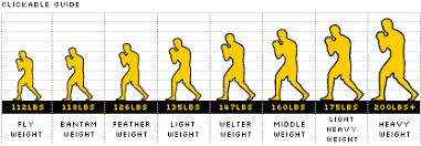 77 Rational Mma Weight Class Chart