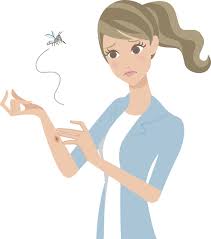 Insektenstiche Was Tun Entzundung Richtig Behandeln Butterfly Disney Characters Character