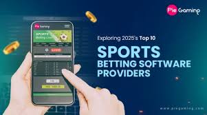 13win – A Premium Online Betting Platform for Smart Players