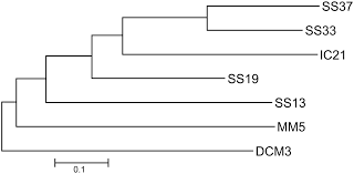 Ó•m2 †r †f \) x žöpr ¸á›' …é@% šg ­ðt hl ! Https Www Scienceopen Com Document File 5d50c9a2 F67a 4d89 8243 638a24da46c0 Pubmedcentral 5d50c9a2 F67a 4d89 8243 638a24da46c0 Pdf