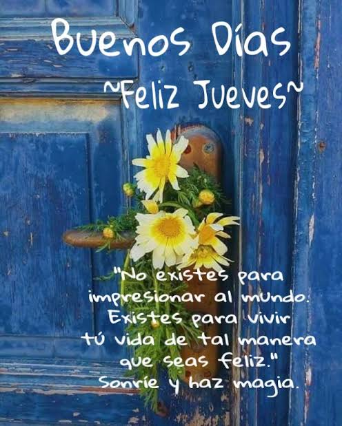 Frases de Feliz Jueves | Feliz jueves amigos, Buenos dias jueves frases positivas, Bendecido jueves buenos dias