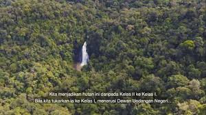 Hutan simpanan bukit timah wikipedia bahasa melayu ensiklopedia bebas. 3 5 Juta Hektar Hutan Di Sabah Dijadikan Hutan Simpan Kekal