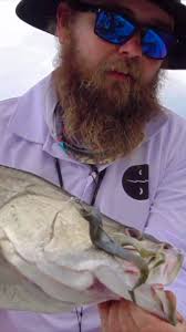 When you want Mangrove Jack but stoopid Barra get in the way!!! 😆 ,  🏝⚓️🍻🤦🏼‍♂️ , #mangrovejack #barramundi #jack #barra #skipping #casting  #fishing #fishingaustralia #topwaterfishing #frogs #fishporn ...