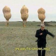 Peanuts Growling R Sadlygokarts