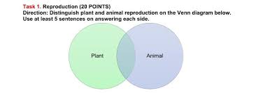 Check spelling or type a new query. Task 1 Reproduction 20 Points Direction Chegg Com