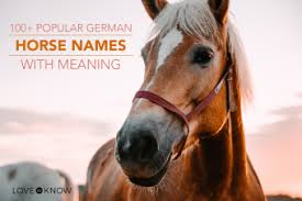 Babycenter is committed to providing the most helpful and trustworthy pregnancy and parenting information in the world. 100 Popular German Horse Names With Meanings Lovetoknow