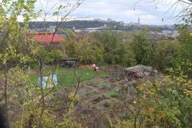 Pittsburghers can probably agree that the best scenic overlooks in the city perch atop mount washington. Exploring Pittsburgh S Parks South Side And Grandview The Pitt News