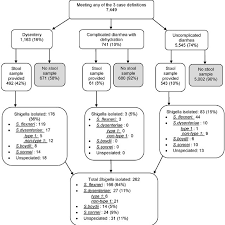 Flow Chart Illustrating Distribution Of Diarrhea Cases And