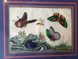 Manuel has been painting since 1989. Painting On Rice Paper Canton China Xixth Century Gouache