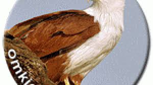 We did not find results for: Elang Bondol Maskot Jakarta Yang Makin Berkurang Om Kicau