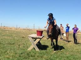 Kaizen Farm develops students' love of horses