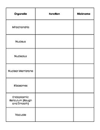 Cell Parts Diagrams By Kelsey Laborio Teachers Pay Teachers Cell Parts Animal Cells Worksheet Cell Diagram