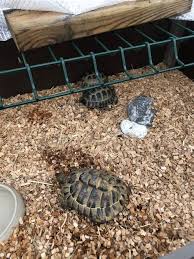 Sometimes known as a surgical table or. Position Tortue Table Basse Position Tortue Table Basse Table Modulable Multi Positions Blanc Astucio Les La Mais Ce Que L On Nome Le Bois De