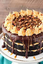 Turtle Chocolate Layer Cake With Caramel Icing Recipe Chocolate Layer Cake Moist Chocolate Cake Desserts