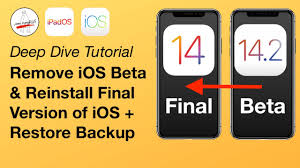 How To Remove Ios 14 Beta Reinstall Final Version Restore Backup 14 3 Or 14 2 Youtube