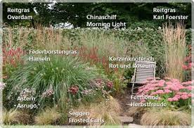 Pin Von Hosta1989 Auf Gartengestaltung In 2020 Reitgras Pflanzen Ziergras