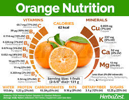 Orange Herbazest Orange Nutrition Diet And Nutrition Nutrition
