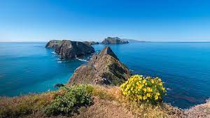 Wallpaper Id 130976 Nature Landscape Sky Yellow Flowers Rocks Island Plants Clear Sky Water Sea Water Ripples Horizon Anacapa Island California Usa