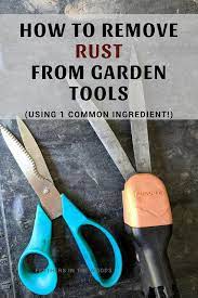 Clean rust off garden tools. Remove Rust From Garden Tools Feathers In The Woods