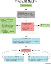 The Ultimate Bls Cheatsheet