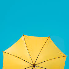 Download Yellow Umbrella Images Free Vectors Stock Photos Psd Yellowimages Mockups