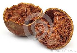 Wood Apple Or Kod Bel Download From Over 56 Million High Quality Stock Photos Images Vectors Sign Up For Free Today Image 311696 Wood Apples Fruit Apple