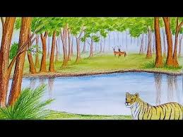 How To Draw Forest Scene Step By Step Very Easy Youtube Easy Scenery Drawing Forest Drawing Forest Drawing Easy