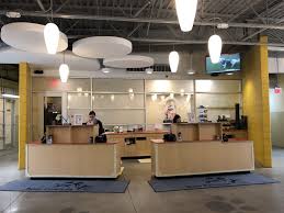 This new luxury pet resort replaces the former keenels at disney world. Best Friends Pet Hotel Best Friends Pet Care Lake Buena Vista Fl