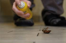 Firewood can be home to ants and termites so store wood at least 20 feet from your house. 10 Tips To Keep Bugs Out Of Your House Safeshield Inspections