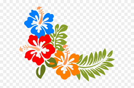 Seamless color pattern on the hawaiian theme with pineapple skull on dark background. Polynesia Clipart Beach Flower Hawaiian Flowers Vector Free Transparent Png Clipart Images Download