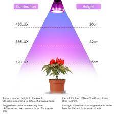 Plants grown with blue light are usually shorter and have smaller, thicker and. Tomshine Led Plant Grow Light 15w Red Blue Spectrum Plant Bulb With Adjustable Gooseneck For Indoor Plants Seed Starting Greenhouse Flowers Plant Lamp Stand With Three On Off Switch