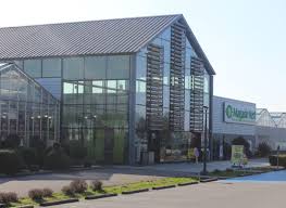 Actualité, agenda, informations pratiques sur le rsa, l'apa, le handicap, la petite enfance, les collèges, les routes. Magasin Vert Betton Betton Ille Et Vilaine