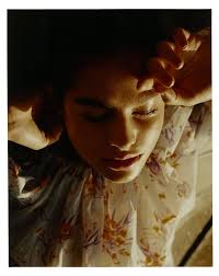 DESIGN SCENE STYLE: Summer In Bloom by Rhys Frampton