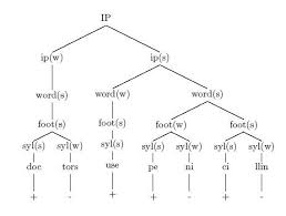 Metrical Phonology Wikipedia