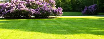 By leveling your lawn, you too can have a picturesque lawn surface that is not only safer for grass activities but simple spread more of your topsoil mixture to maintain a level surface area and enjoy. Dallas Lawn Leveling Top Dressing Lawn In Dallas Texas