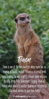 20 Beautiful African Words In The Lion King That Ll Make You Smile African Words Lion King Lion King Quotes
