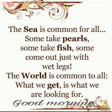 We did not find results for: 56 Best Good Morning Quotes For Wise Sayings Images Littlenivi Com