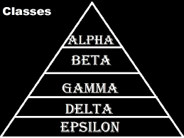 British society was officially at peace, but the social effects of the great war, as it was then called, were becoming apparent. Class In Brave New World Brave New World New World Brave