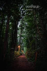 珈琲 森の時計 富良野の森の中にある喫茶店 morinotokei 森の時計 北海道 旅行