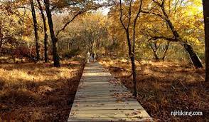 Check spelling or type a new query. Cheesequake State Park Green Trail Njhiking Com