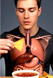 The Aftermath of Eating Junk